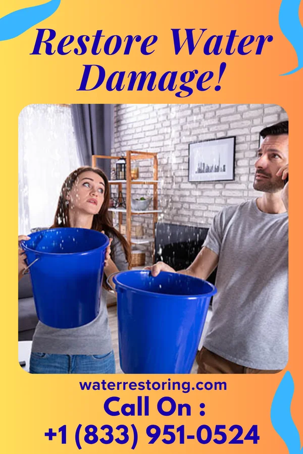 water restoration Elite Water Damage Norwood