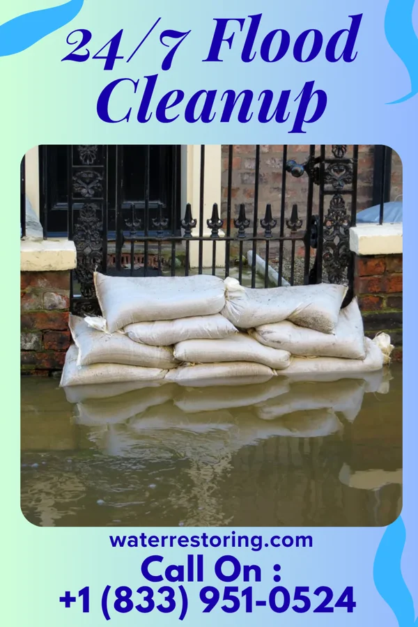 24/7 Flood Cleanup in Norwood, GA
