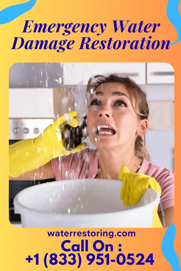 Emergency Water Damage Restoration in Norwood, GA